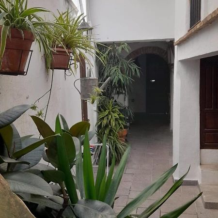 Apartamento En El Casco Historico Тарифа Экстерьер фото