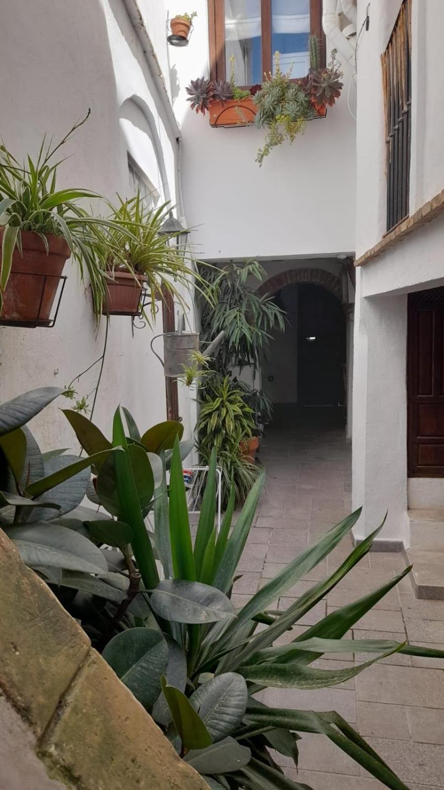 Apartamento En El Casco Historico Тарифа Экстерьер фото